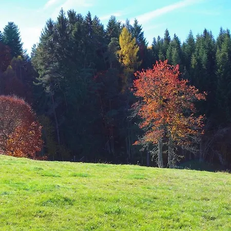 Le Val D'ance Usson-en-Forez